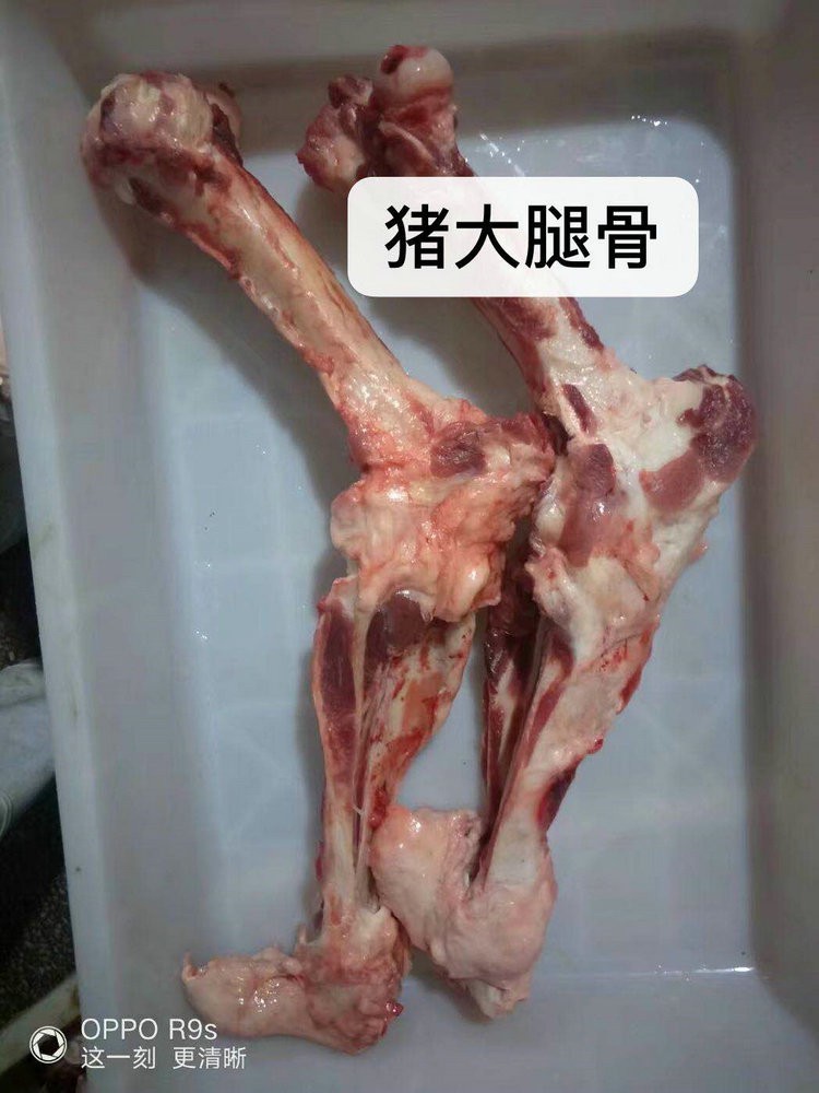 江苏猪大腿骨